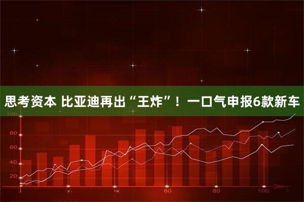思考资本 比亚迪再出“王炸”！一口气申报6款新车